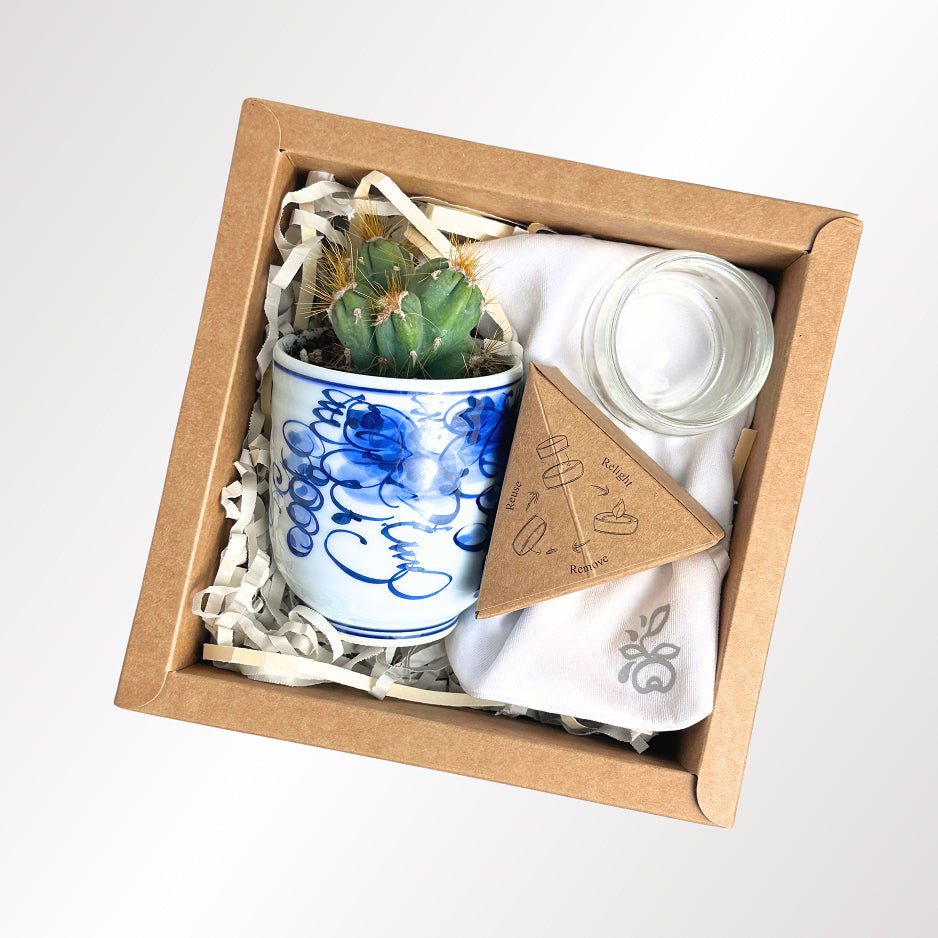 Succulent Surprise Gift Box