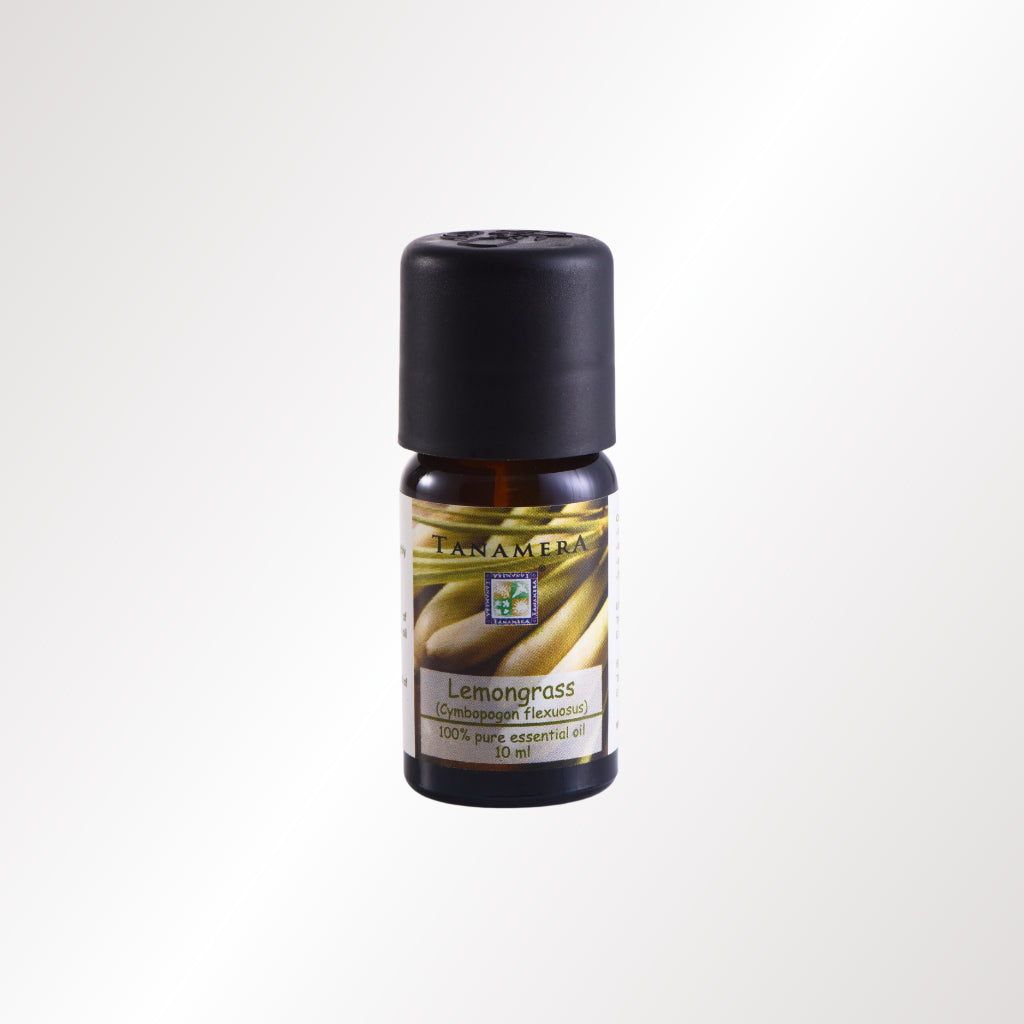 Aroma Stone & Lemongrass Essential Oil Gift Set
