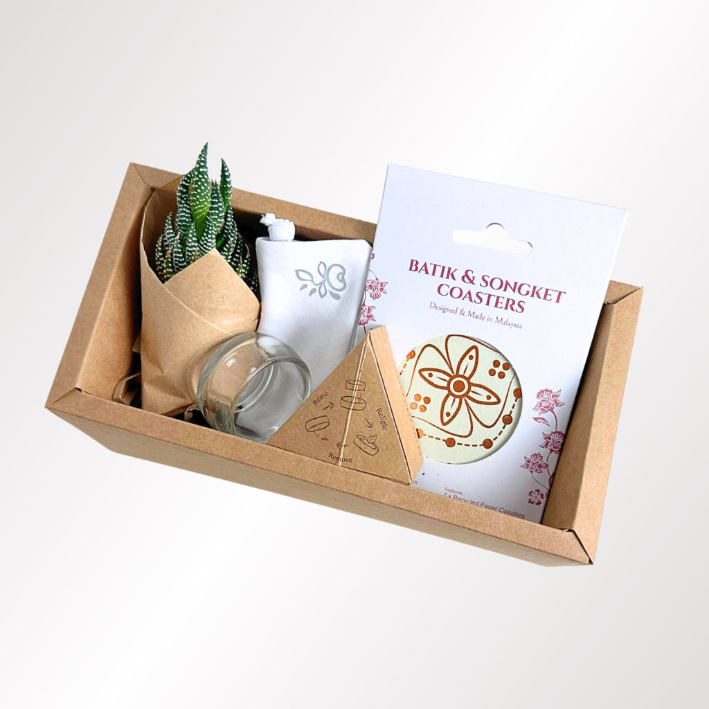 Little buddies succulent gift box