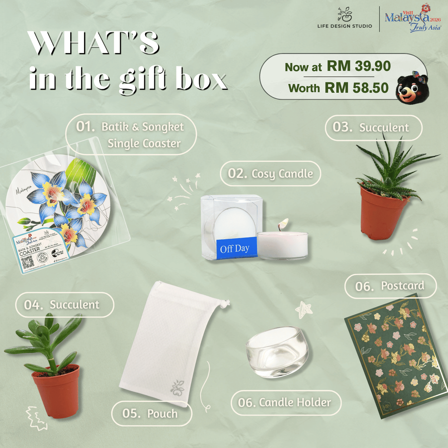 Little Buddy Succulent Gift Set
