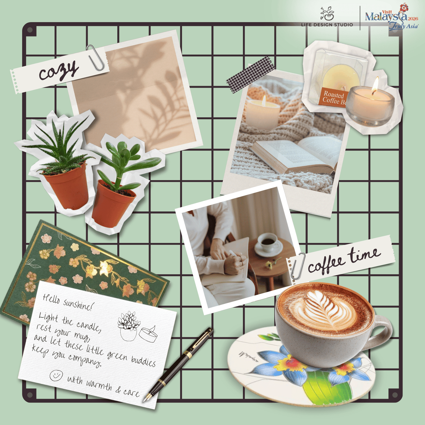 Little Buddy Succulent Gift Set