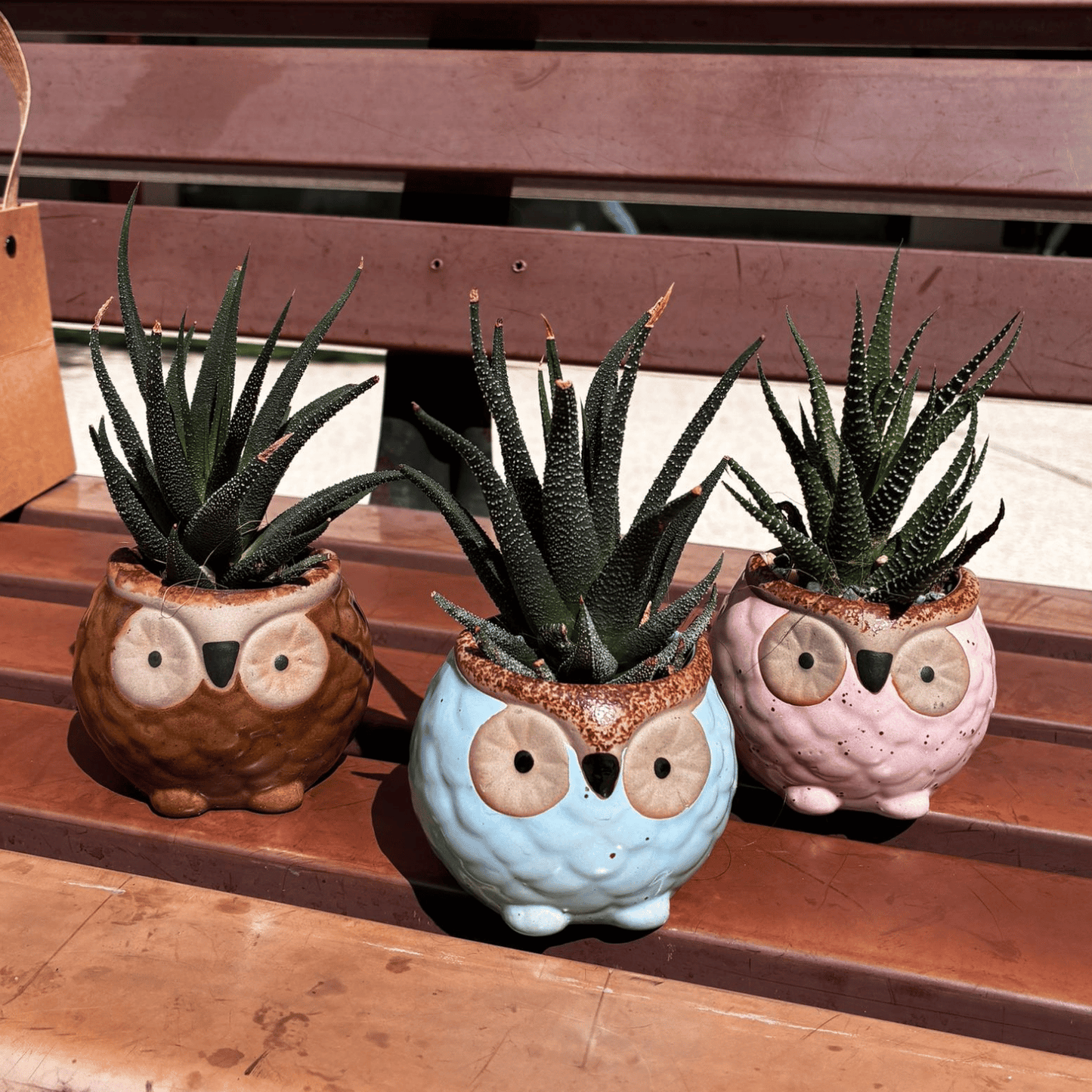 Little Owlsome Buddy