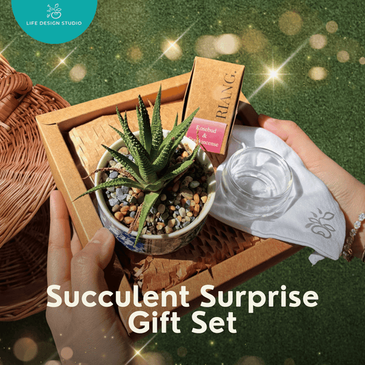Succulent Surprise Gift Set