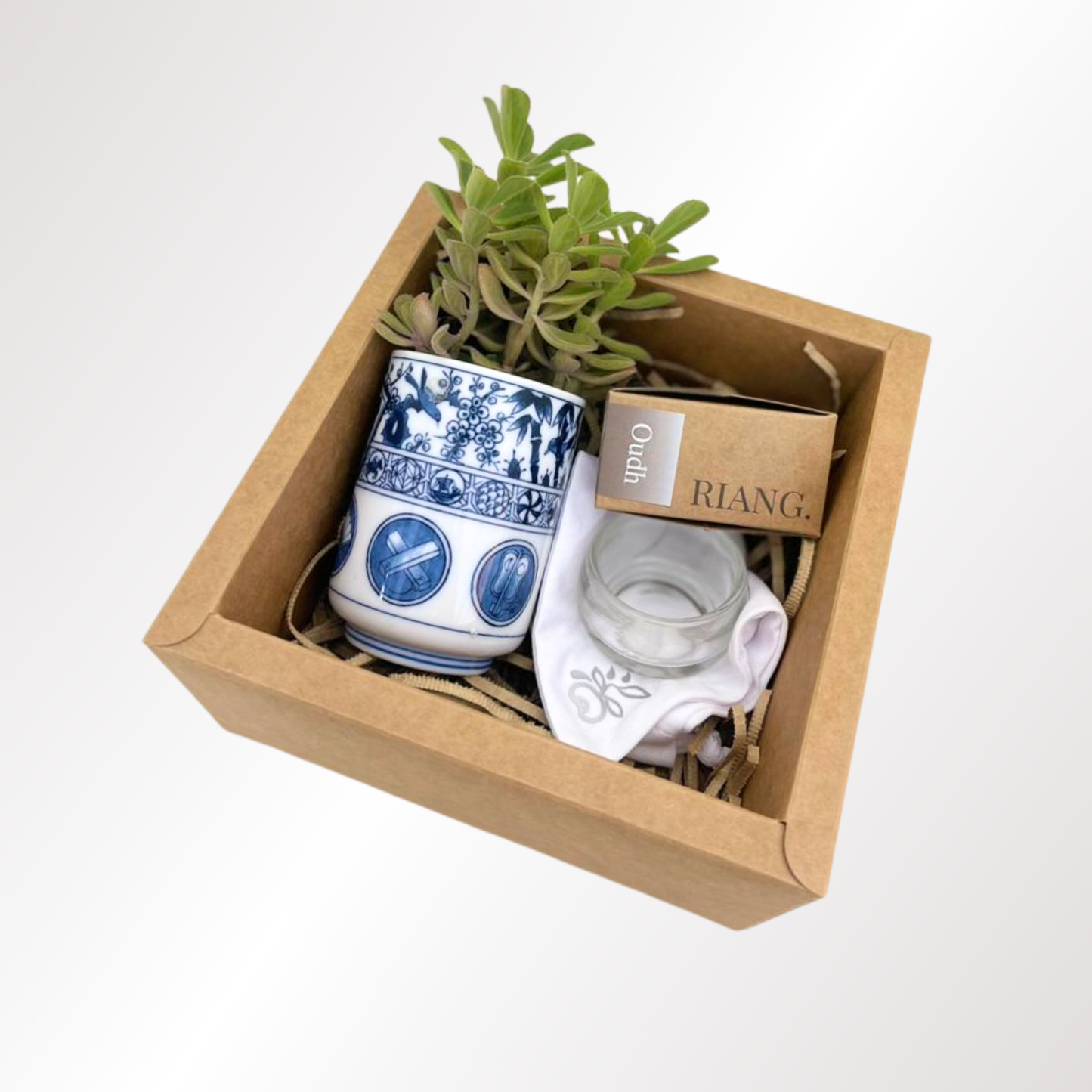 Succulent Surprise Gift Set