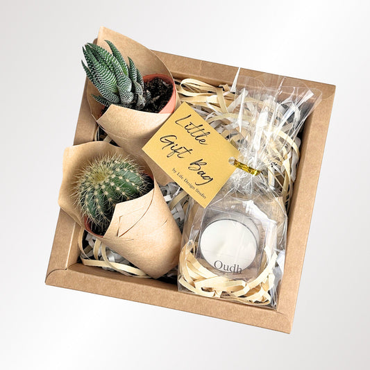 Twogether Succulent Gift Box